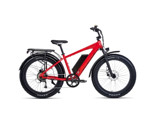 Complete Guide to Clipping Path Services: Everything You Need to Know